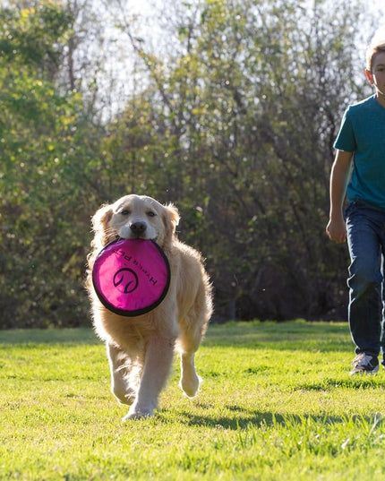 Flippy Flopper 9" Flying Disc Soft Dog Toy, Floats in Water & Safe on Teeth, for All Breeds, Pack of 5 (Colors May Vary)