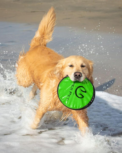 Flippy Flopper 9" Flying Disc Soft Dog Toy, Floats in Water & Safe on Teeth, for All Breeds, Pack of 5 (Colors May Vary)