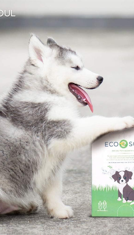 - Dog Poop Bags | Earth-Friendly Disposable Bag | Ultra Thick | Durable | Biodegradable Plant-Based Pet Waste Bags | 100% Compostable | with Leak Proof and Tear Resistant Quality | 13" X 9"