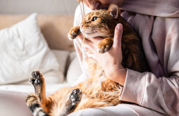 Kind to your pet, kind to the planet.