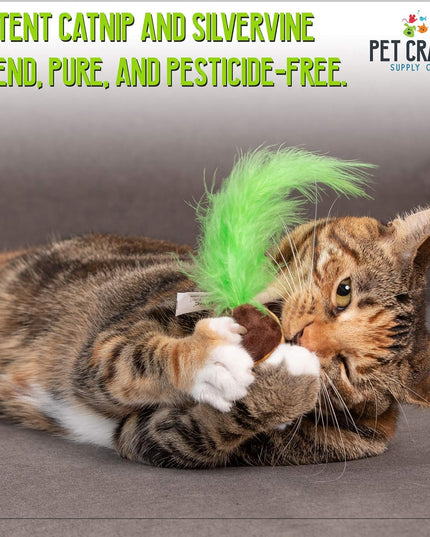 Silly Snacks and Funny Food Crinkle Cuddling Catnip and Silvervine Interactive Cat Toys - Great for Indoor Cats, Kittens or Medium Breeds