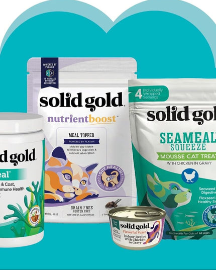 Indoor Dry Cat Food - Let'S Stay in Cat Food Dry Kibble for Indoor Cats - Hairball & Sensitive Stomach - Grain & Gluten Free - Probiotics & Fiber for Digestive Health - Chicken - 12Lb