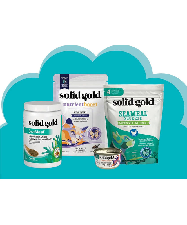 Indoor Dry Cat Food - Let'S Stay in Cat Food Dry Kibble for Indoor Cats - Hairball & Sensitive Stomach - Grain & Gluten Free - Probiotics & Fiber for Digestive Health - Chicken - 12Lb