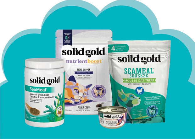 Indoor Dry Cat Food - Let'S Stay in Cat Food Dry Kibble for Indoor Cats - Hairball & Sensitive Stomach - Grain & Gluten Free - Probiotics & Fiber for Digestive Health - Chicken - 12Lb