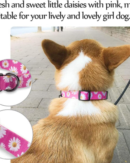 Adjustable Soft Dog Collar: Print Flower Pink Multicolor Cute Patterns for XS Small Medium Large Pet Girl Boy Puppy Walking Running Training (S, Small Daisies)