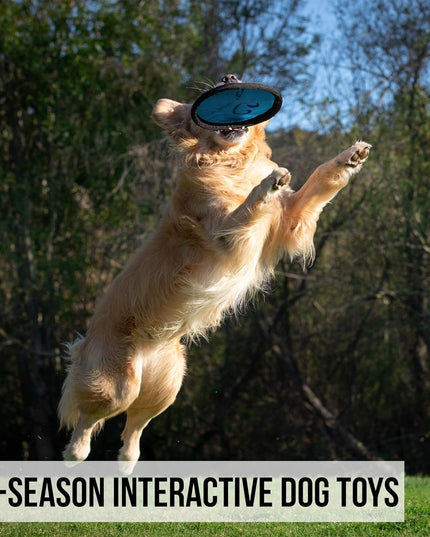 Flippy Flopper 9" Flying Disc Soft Dog Toy, Floats in Water & Safe on Teeth, for All Breeds, Pack of 5 (Colors May Vary)