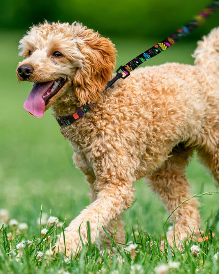 Floral Dog Collar Nylon Pattern Flower Print Adjustable Pet Collars for Dogs Small Medium Large Puppy (Neck Fit 12"-16", Black)