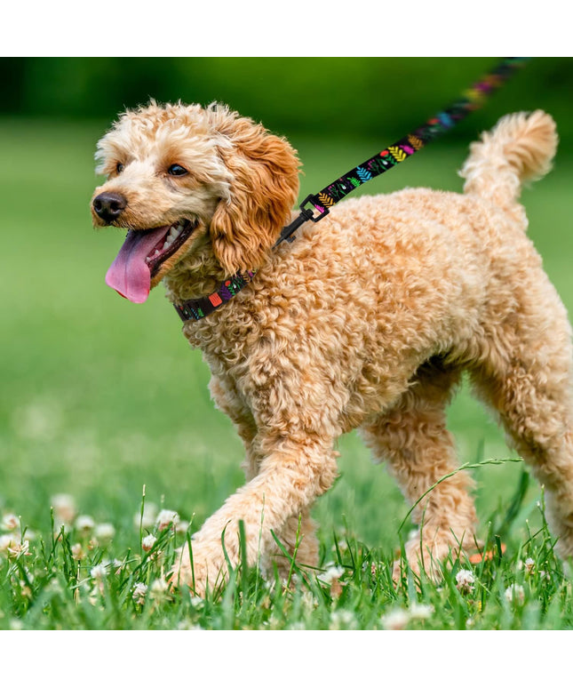 Floral Dog Collar Nylon Pattern Flower Print Adjustable Pet Collars for Dogs Small Medium Large Puppy (Neck Fit 12"-16", Black)