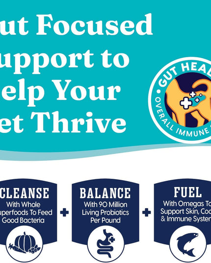 Indoor Dry Cat Food - Let'S Stay in Cat Food Dry Kibble for Indoor Cats - Hairball & Sensitive Stomach - Grain & Gluten Free - Probiotics & Fiber for Digestive Health - Chicken - 12Lb