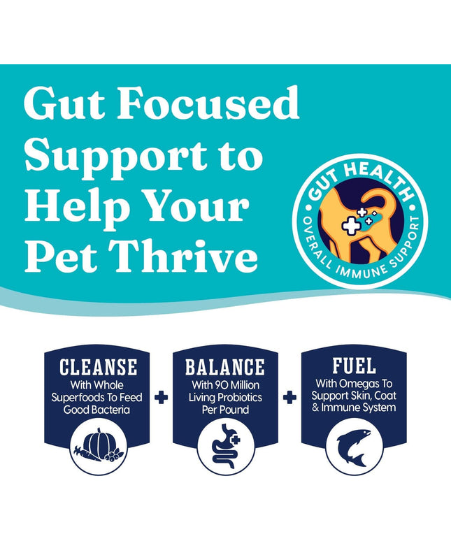 Indoor Dry Cat Food - Let'S Stay in Cat Food Dry Kibble for Indoor Cats - Hairball & Sensitive Stomach - Grain & Gluten Free - Probiotics & Fiber for Digestive Health - Chicken - 12Lb