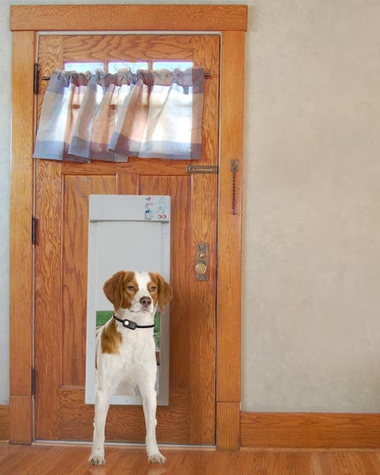 Plastic Pet Door Access Key