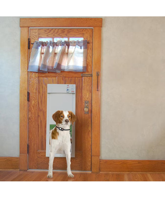 Plastic Pet Door Access Key