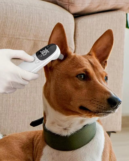 Animal Thermometers for Cats Vet Tech Supplies Accurate Fever Detection Device for Pet Pet Supplies Veterinary Thermometers High