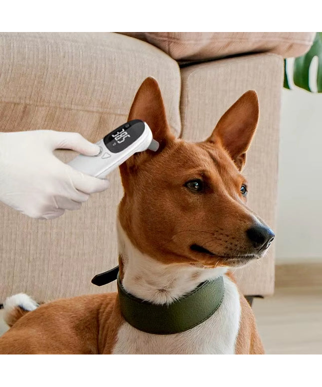 Animal Thermometers for Cats Vet Tech Supplies Accurate Fever Detection Device for Pet Pet Supplies Veterinary Thermometers High