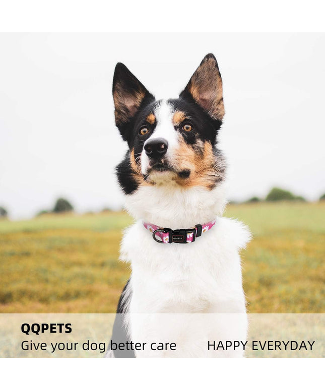 Adjustable Soft Dog Collar: Print Flower Pink Multicolor Cute Patterns for XS Small Medium Large Pet Girl Boy Puppy Walking Running Training (S, Small Daisies)