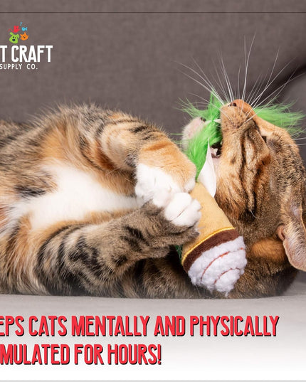 Silly Snacks and Funny Food Crinkle Cuddling Catnip and Silvervine Interactive Cat Toys - Great for Indoor Cats, Kittens or Medium Breeds