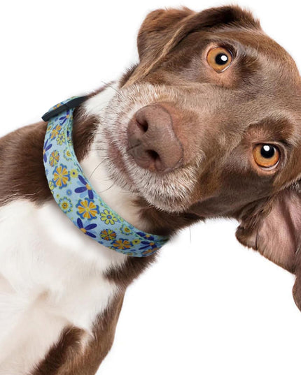 Adjustable Soft Dog Collar: Print Flower Pink Multicolor Cute Patterns for XS Small Medium Large Pet Girl Boy Puppy Walking Running Training