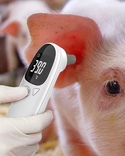Animal Thermometers for Cats Vet Tech Supplies Accurate Fever Detection Device for Pet Pet Supplies Veterinary Thermometers High