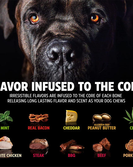 Dinosaur Barkbone - Nylon Dog Bone for Aggressive Chewers - Bacon Flavor - 8.5"