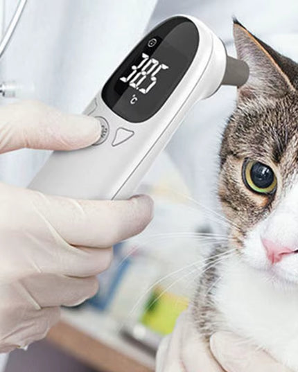 Animal Thermometers for Cats Vet Tech Supplies Accurate Fever Detection Device for Pet Pet Supplies Veterinary Thermometers High