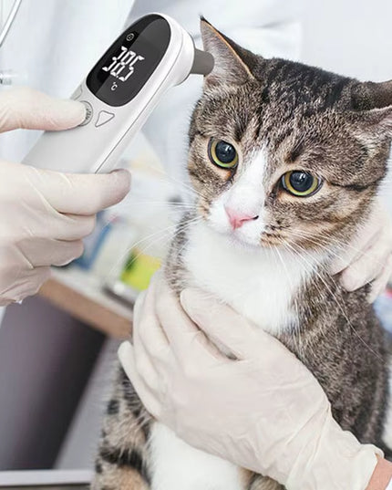 Animal Thermometers for Cats Vet Tech Supplies Accurate Fever Detection Device for Pet Pet Supplies Veterinary Thermometers High