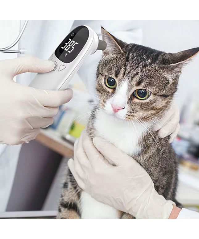 Animal Thermometers for Cats Vet Tech Supplies Accurate Fever Detection Device for Pet Pet Supplies Veterinary Thermometers High