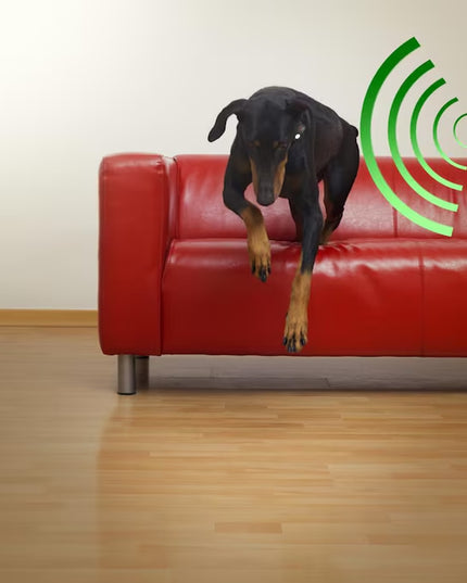 Plastic Pet Door Access Key