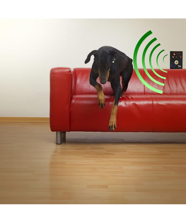 Plastic Pet Door Access Key