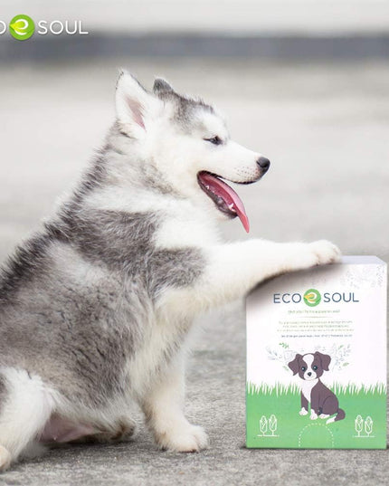 - Dog Poop Bags | Earth-Friendly Disposable Bag | Ultra Thick | Durable | Biodegradable Plant-Based Pet Waste Bags | 100% Compostable | with Leak Proof and Tear Resistant Quality | 13" X 9"