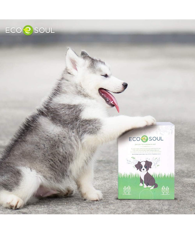 - Dog Poop Bags | Earth-Friendly Disposable Bag | Ultra Thick | Durable | Biodegradable Plant-Based Pet Waste Bags | 100% Compostable | with Leak Proof and Tear Resistant Quality | 13" X 9"