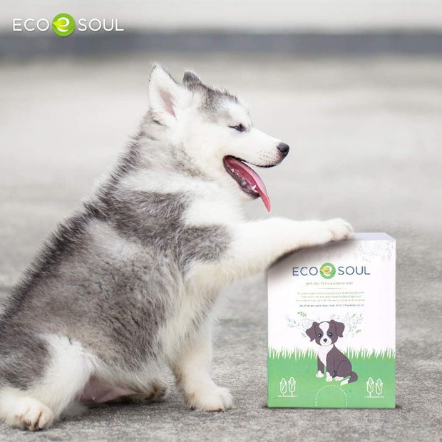 - Dog Poop Bags | Earth-Friendly Disposable Bag | Ultra Thick | Durable | Biodegradable Plant-Based Pet Waste Bags | 100% Compostable | with Leak Proof and Tear Resistant Quality | 13" X 9"